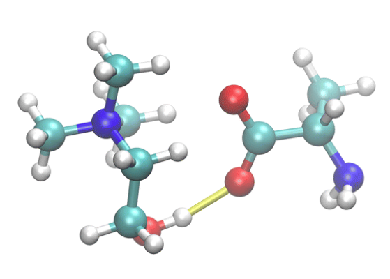 Laboratory of Nano-Biophysics of Ionic Liquids